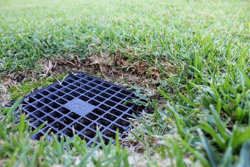 drainage grate in lawn