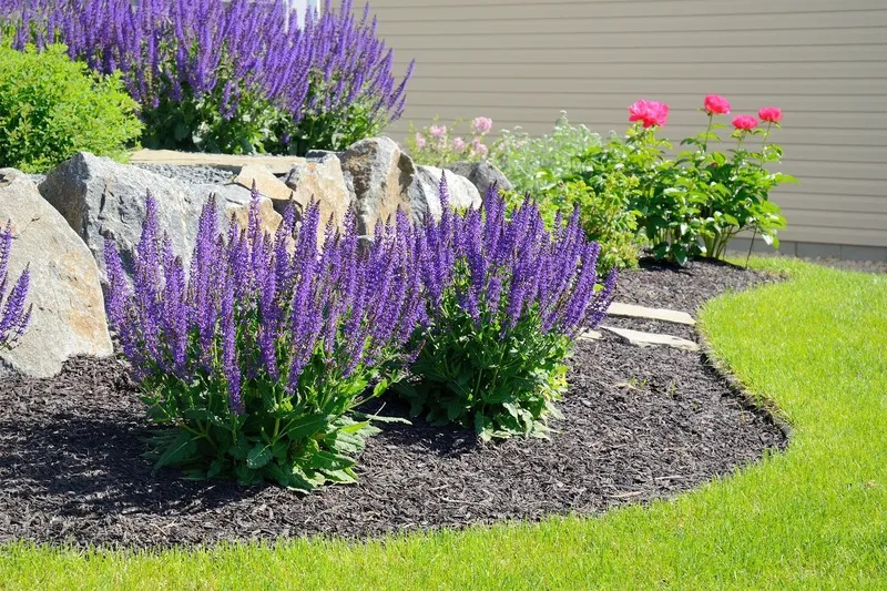 garden bed of mulch