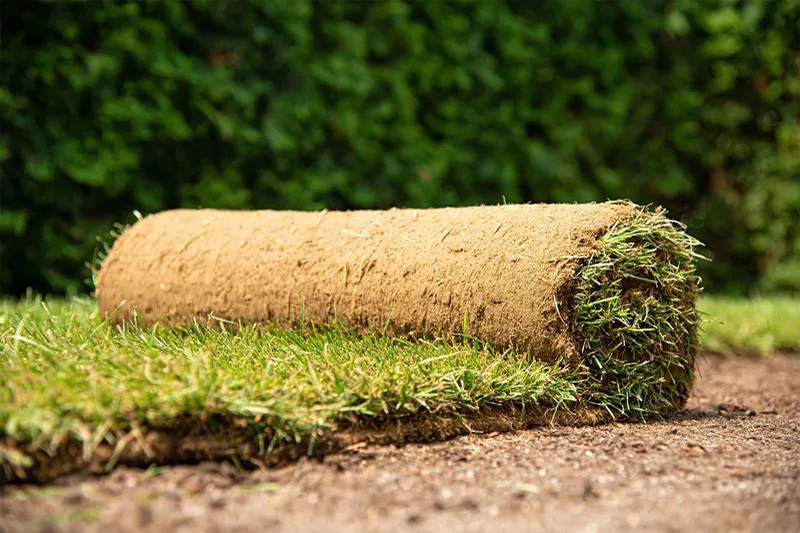 sod being installed